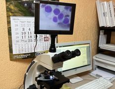 Ветклиника Айдавет, Галерея - фото 9