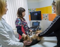 Ветеринарный центр КакадуВет, Галерея - фото 7