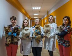 Ветеринарный центр КакадуВет, Галерея - фото 14