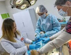 Ветеринарный центр КакадуВет, Галерея - фото 11