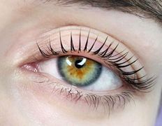 Салон красоты Pavlin Немига (Павлин), Ламинирование/ботокс ресниц - фото 2