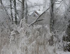 null Коттедж на озере Должа, Рыбалка - фото 12