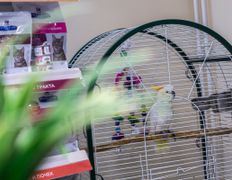 Ветеринарный центр КакадуВет, Галерея - фото 17