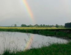 Школа йоги Возрождение культуры, Семинары - фото 11