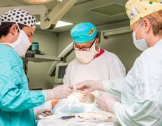 Учреждение здравоохранения Минская областная клиническая больница, Галерея - фото 4