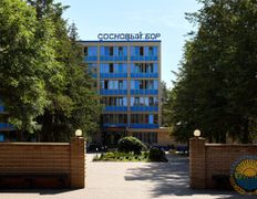 Санаторий Сосновый бор, Территория - фото 18