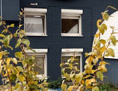 Студия груминга Dog and Cat (Дог энд Кэт), Галерея - фото 2