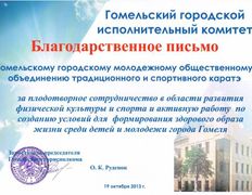 null Гомельское городское молодежное общественное объединение традиционного и спортивного каратэ, Наши награды - фото 1