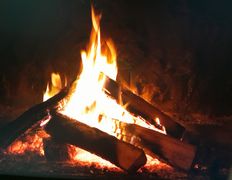 null СТУДИЯ МАССАЖА ВИШНЕВЕЦ, Галерея - фото 16