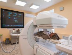 null Могилевский областной онкологический диспансер, Галерея - фото 6