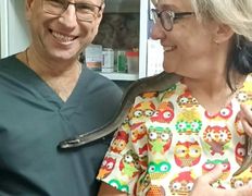 Ветклиника МогВетЛига, МогВетЛига - фото 9