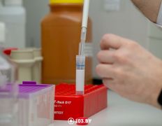 null Республиканский научно-практический центр детской онкологии, гематологии и иммунологии, Лаборатория генетических биотехнологий - фото 8