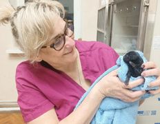 Ветклиника МогВетЛига, МогВетЛига - фото 1