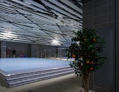 спортивно-оздоровительный комплекс РЦОП по водным видам спорта, Бассейн - фото 18