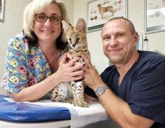 Ветклиника МогВетЛига, Галерея - фото 7