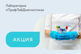 Акция «Программа лояльности»