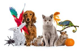 Мы переехали!