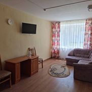 Чайка - фото 2