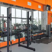 Мандарин - фото 4