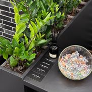 THE BAZA - фото 1