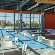 Мандарин - фото 2