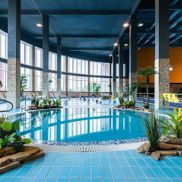 Мандарин - фото 3