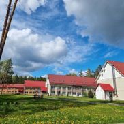 Чайка - фото 6