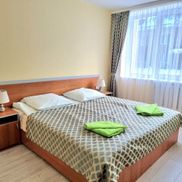 Чайка - фото 3