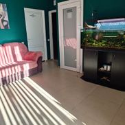 Белый питон - фото 2