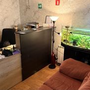 Белый питон - фото 1