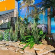 Мандарин - фото 4