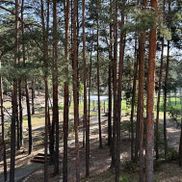 Высокий Берег - фото 3