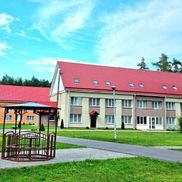 Чайка - фото 1