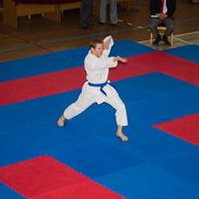 Объединение спортивного каратэ - фото 1