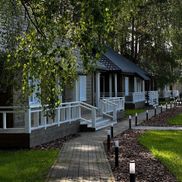 Елки иголки - фото 1