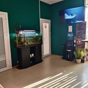 Белый питон - фото 1