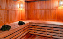 Сауна-люкс «У фонтана» - фото