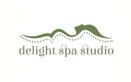 Массажный салон Delight spa studio (Делайт спа студио) - фото