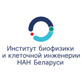 Логотип  Отделение клеточной терапии Института биофизики и клеточной инженерии НАН Беларуси - фото лого