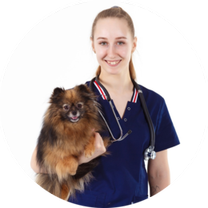 Павлова Алеся Сергеевна