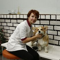 Сергейчик Алла Валентиновна