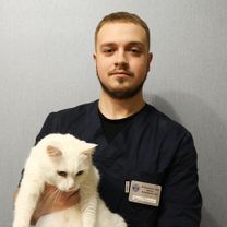 Борис Николай Александрович