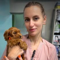 Шафикова Анастасия Валерьевна
