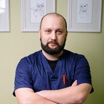 Грязнов Дмитрий Станиславович