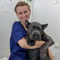 Антаневич Анастасия Олеговна