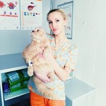 Клянцевич Алиса Юрьевна