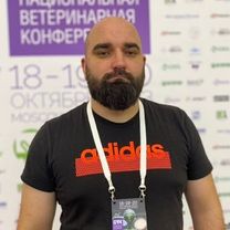 Королевич Иван Иванович