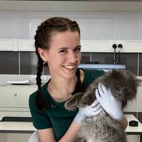 Бабаева Виталина Руслановна