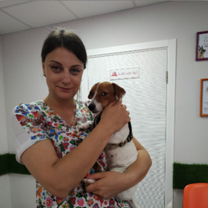 Кашевич Елена Николаевна