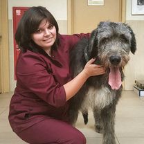 Цвирко Алина Валентиновна